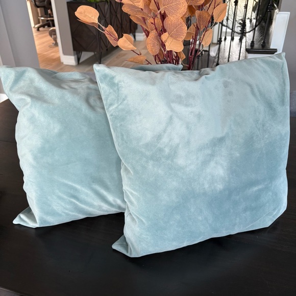 Throw Pillow set - Picture 1 of 2